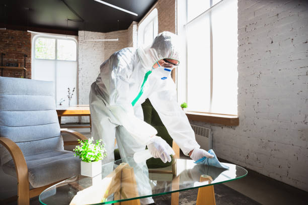 Biohazard Mold Removal in Moyie Springs, ID